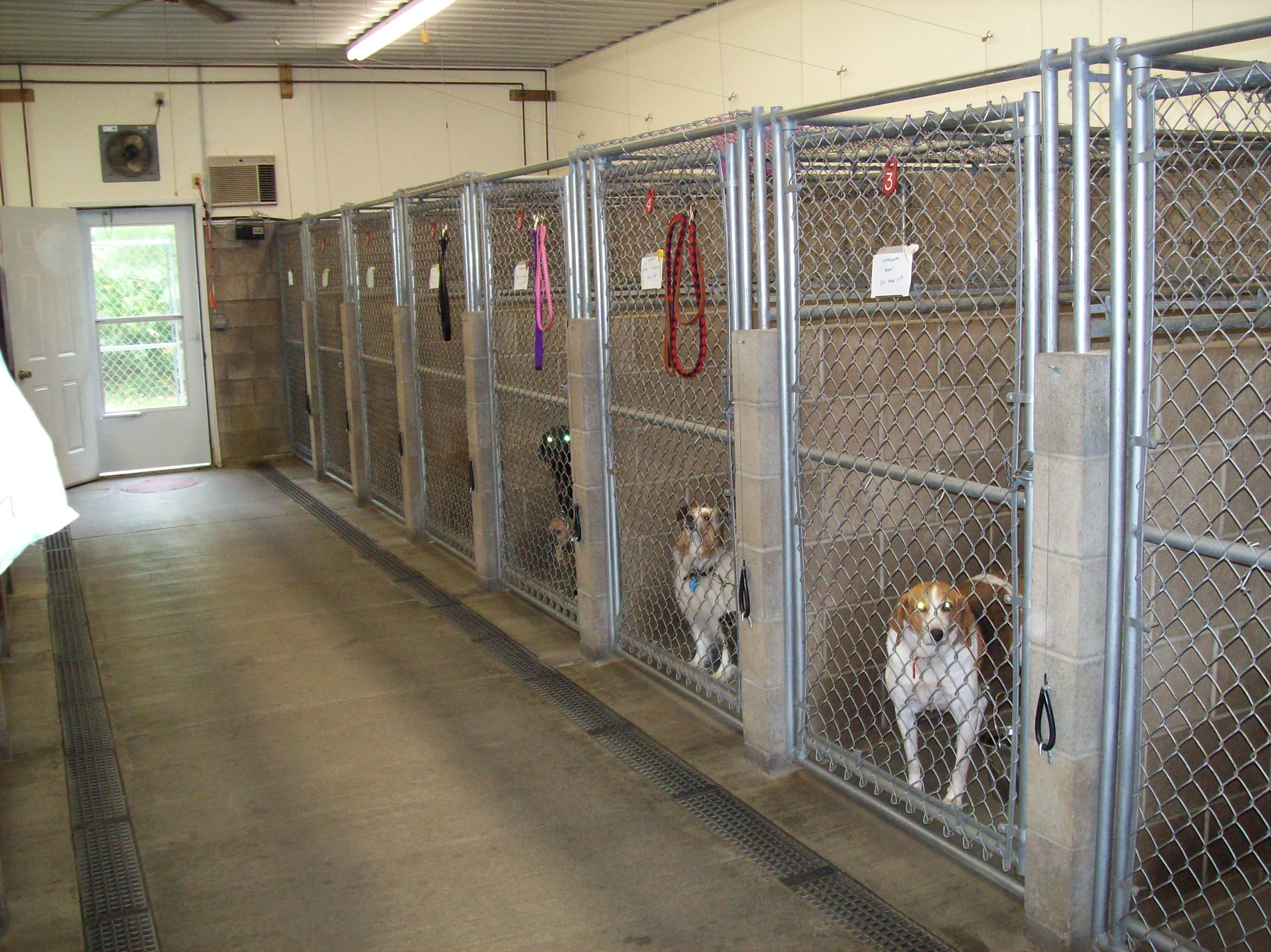 Interior Kennels Side-By-Side